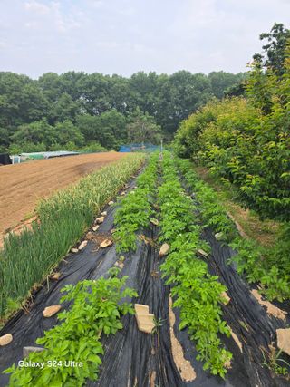 소병찬님의 자유주제 · 자유게시판 작성글 사진