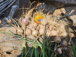 갑돌이님의 자유주제 · 자유게시판 작성글 사진