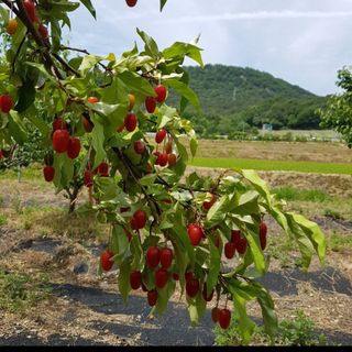 권ㅇㅎ님의 자유주제 · 자유게시판 작성글 사진