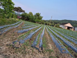 이정민님의 자유주제 · 자유게시판 작성글 사진