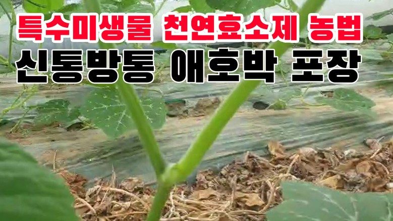 우수영터미널농약사님의 장터 판매 상품 [(박스) 신통방통 - 작물 + 내병 + 내충 + 토양개량 영양제] 첨부 사진