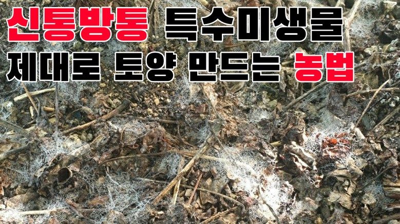 우수영터미널농약사님의 장터 판매 상품 [신통방통 - 작물 + 내병 + 내충 + 토양개량 영양제] 첨부 사진