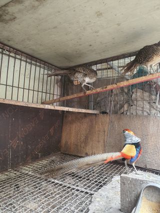 김영복님의 자유주제 · 자유게시판 작성글 사진