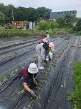 팜모닝 자유주제·자유게시판 게시글 이미지