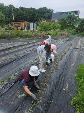 김숙희님의 자유주제 · 자유게시판 작성글 사진