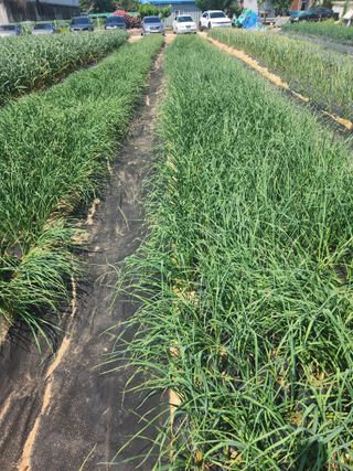 갑돌이님의 자유주제 · 자유게시판 작성글 사진