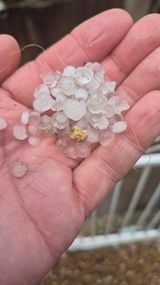 팜모닝 자유주제·자유게시판 게시글 이미지