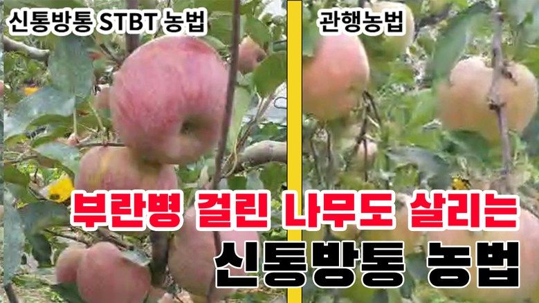 우수영터미널농약사님의 장터 판매 상품 [신통방통 - 작물 + 내병 + 내충 + 토양개량 영양제] 첨부 사진