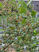 팜모닝 자유주제·자유게시판 게시글 이미지