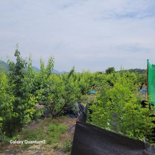 권ㅇㅎ님의 자유주제 · 자유게시판 작성글 사진