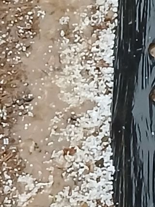 인생은 소풍처럼님의 자유주제 · 자유게시판 작성글 사진