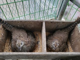 김영복님의 자유주제 · 자유게시판 작성글 사진