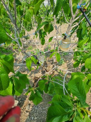 김용대님의 자유주제 · 자유게시판 작성글 사진