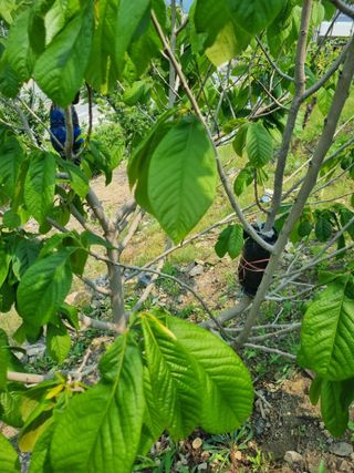 김용대님의 자유주제 · 자유게시판 작성글 사진