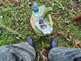 왕대추님의 자유주제 · 자유게시판 작성글 사진