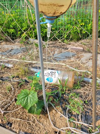 땅땅님의 자유주제 · 자유게시판 작성글 사진