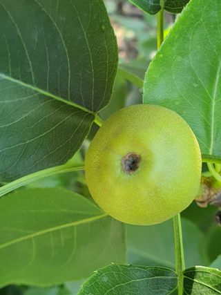 하나라도 소중하게님의 배 · 일상 작성글 사진