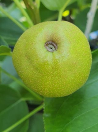 하나라도 소중하게님의 배 · 일상 작성글 사진