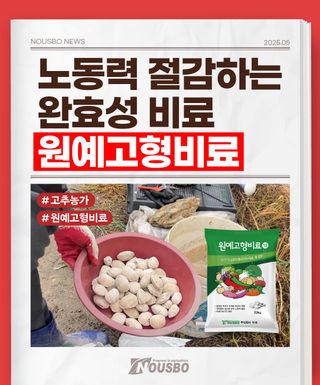 누보농장님의 자유주제 · 자유게시판 작성글 사진