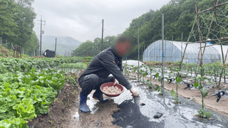 누보농장님의 자유주제 · 자유게시판 작성글 사진