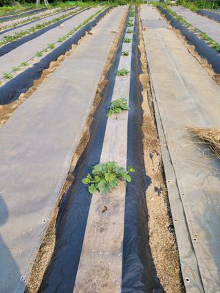 땅땅님의 자유주제 · 자유게시판 작성글 사진