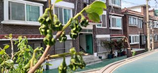 김영문님의 자유주제 · 자유게시판 작성글 사진