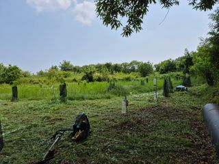 왕대추님의 자유주제 · 자유게시판 작성글 사진