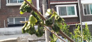 김영문님의 자유주제 · 자유게시판 작성글 사진