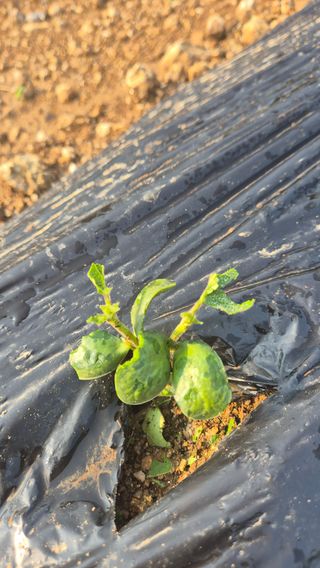 장봉덕님의 자유주제 · 자유게시판 작성글 사진