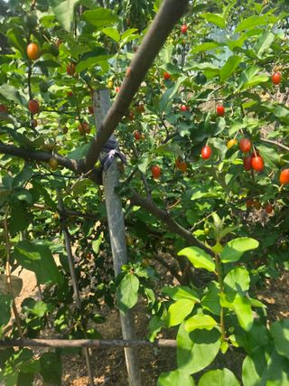 자연인님의 자유주제 · 자유게시판 작성글 사진