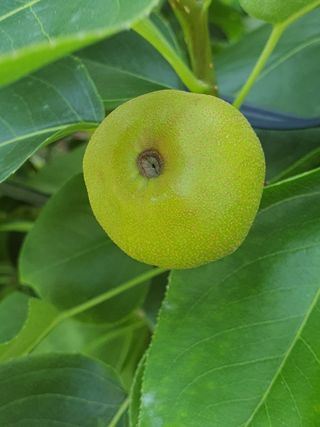 하나라도 소중하게님의 배 · 일상 작성글 사진