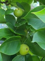 팜모닝 배·일상 게시글 이미지