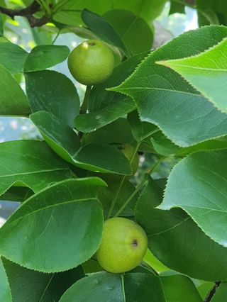 하나라도 소중하게님의 배·일상 작성글 사진