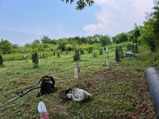 왕대추님의 자유주제 · 자유게시판 작성글 사진