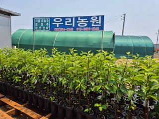 우리농원님의 자유주제 · 자유게시판 작성글 사진