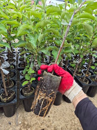 우리농원님의 자유주제 · 자유게시판 작성글 사진