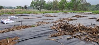 김제선:양평읍회현리님의 자유주제 · 자유게시판 작성글 사진