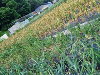 감20280님의 자유주제 · 자유게시판 작성글 사진