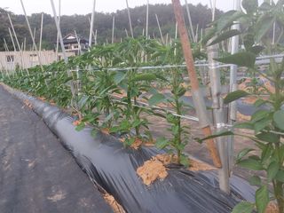 정연국님의 자유주제 · 자유게시판 작성글 사진