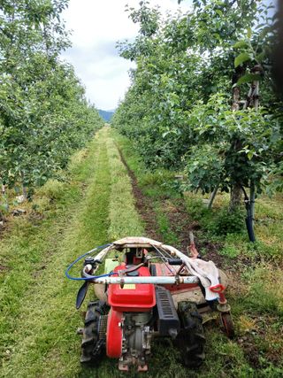 알 수 없음님의 자유주제 · 자유게시판 작성글 사진
