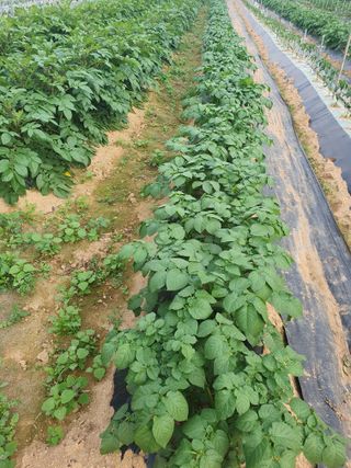 주옥님의 자유주제 · 자유게시판 작성글 사진