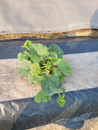 땅땅님의 자유주제 · 자유게시판 작성글 사진