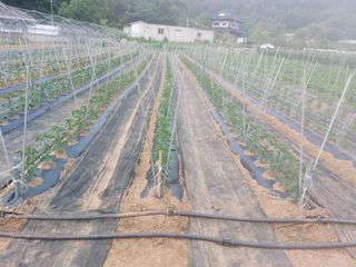 정연국님의 자유주제 · 자유게시판 작성글 사진