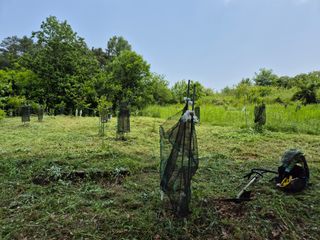 왕대추님의 자유주제 · 자유게시판 작성글 사진