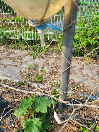 땅땅님의 자유주제 · 자유게시판 작성글 사진