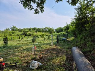 왕대추님의 자유주제 · 자유게시판 작성글 사진