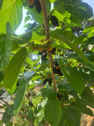 자연인님의 자유주제 · 자유게시판 작성글 사진