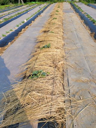 땅땅님의 자유주제 · 자유게시판 작성글 사진