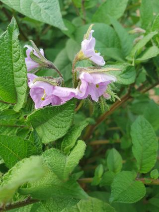 주옥님의 자유주제 · 자유게시판 작성글 사진