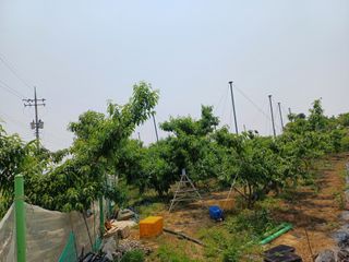 부농이네(이나영)님의 자유주제 · 자유게시판 작성글 사진